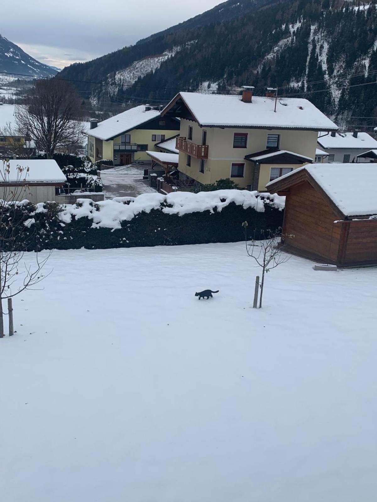 Panorama Apartments Semslach Obervellach Exteriér fotografie