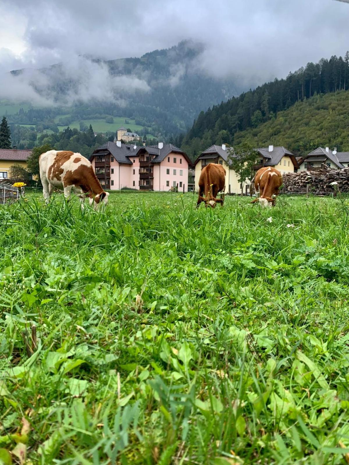 Panorama Apartments Semslach Obervellach Exteriér fotografie